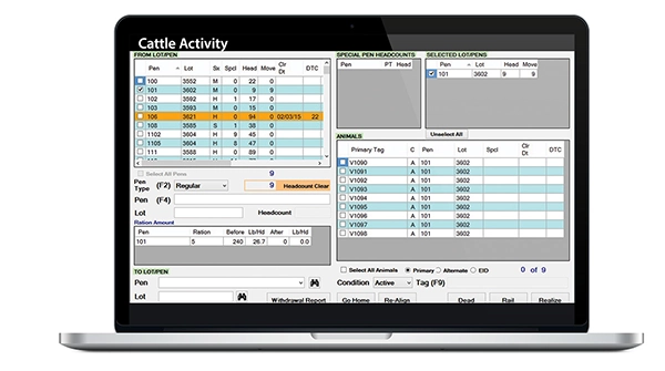 Software screen displaying cattle activity information